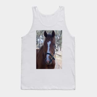 Wally - Thoroughbred Gelding Tank Top